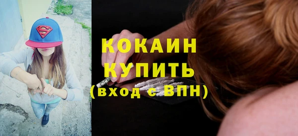 шишки Бронницы