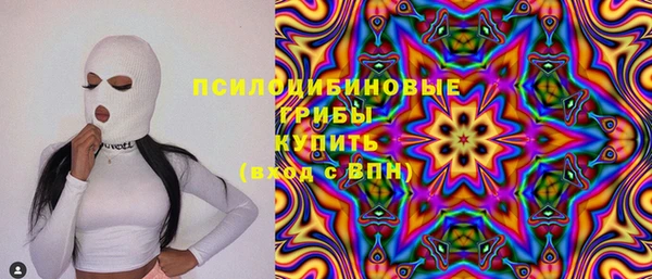 шишки Бронницы