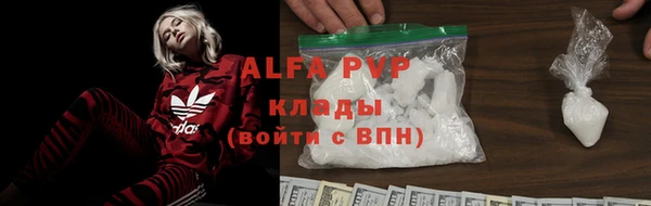 спайс Бородино