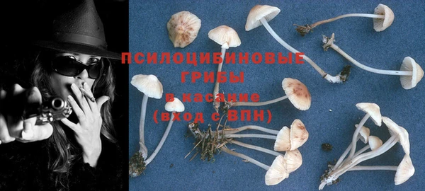 прущая мука Бугульма