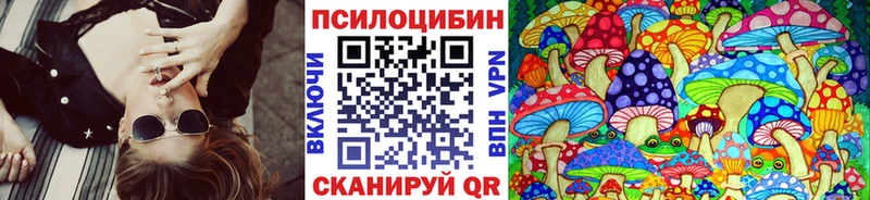 Псилоцибиновые грибы Psilocybine cubensis  OMG ONION  Новая Усмань  цена  